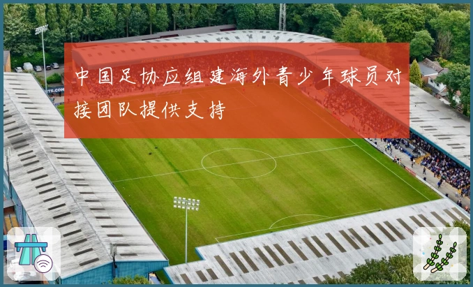 中国足协应组建海外青少年球员对接团队提供支持