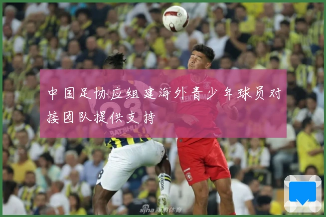 中国足协应组建海外青少年球员对接团队提供支持