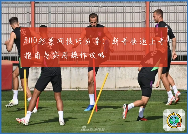 500彩票网技巧分享：新手快速上手指南与实用操作攻略