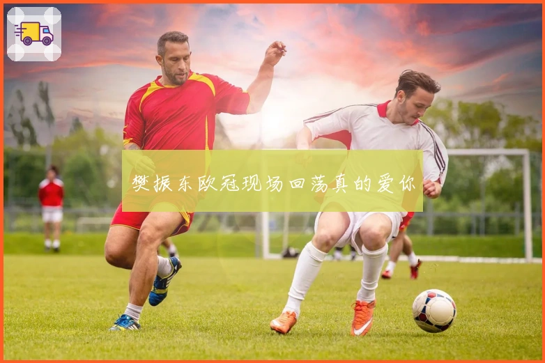 樊振东欧冠现场回荡真的爱你