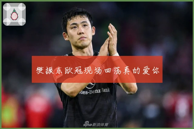 樊振东欧冠现场回荡真的爱你